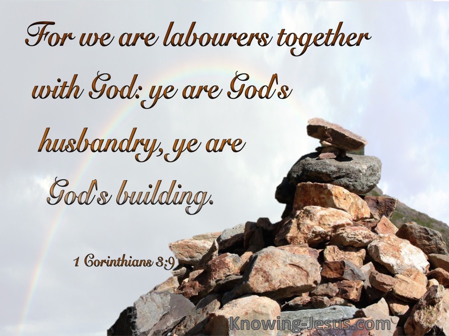 1 Corinthians 3:9 We Are God's Building (brown)